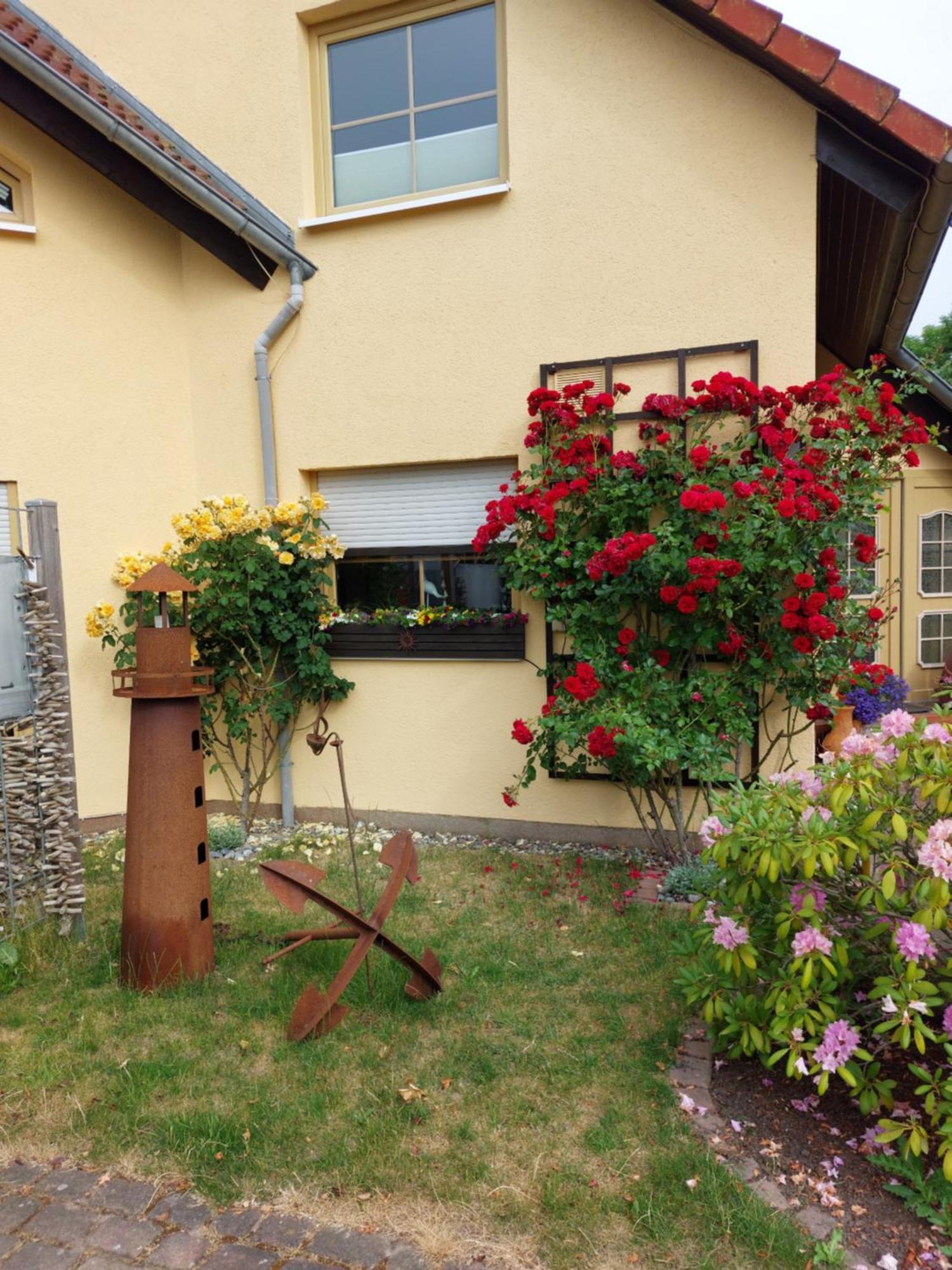Ostseeferien In Lichtenhagen-Dorf Ferienwohnung Elmenhorst/Lichtenhagen Exterior foto