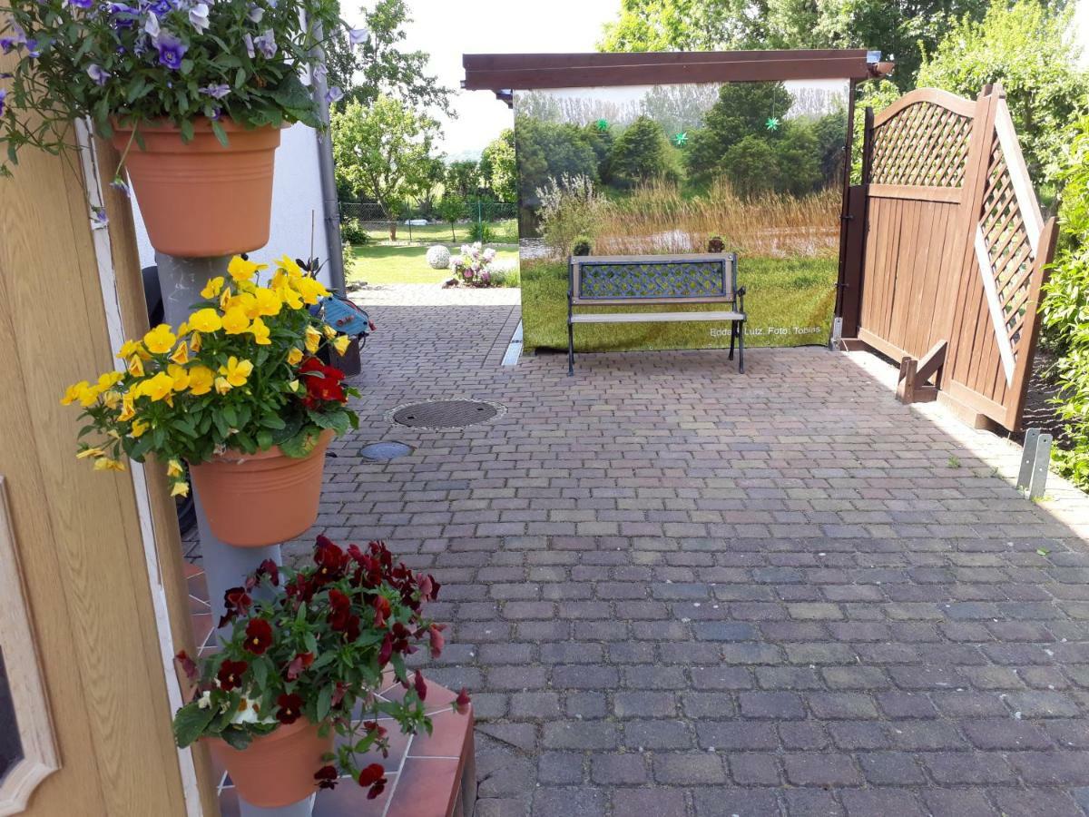 Ostseeferien In Lichtenhagen-Dorf Ferienwohnung Elmenhorst/Lichtenhagen Exterior foto